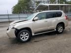 2012 Lexus GX 460