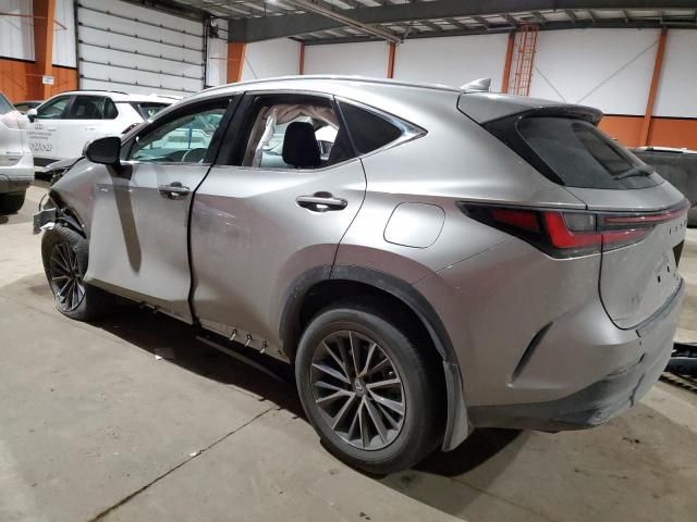 2022 Lexus NX 250