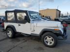 1993 Jeep Wrangler / YJ S