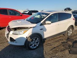 2013 Ford Escape SEL en venta en Earlington, KY