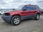 2005 Ford Escape XLT