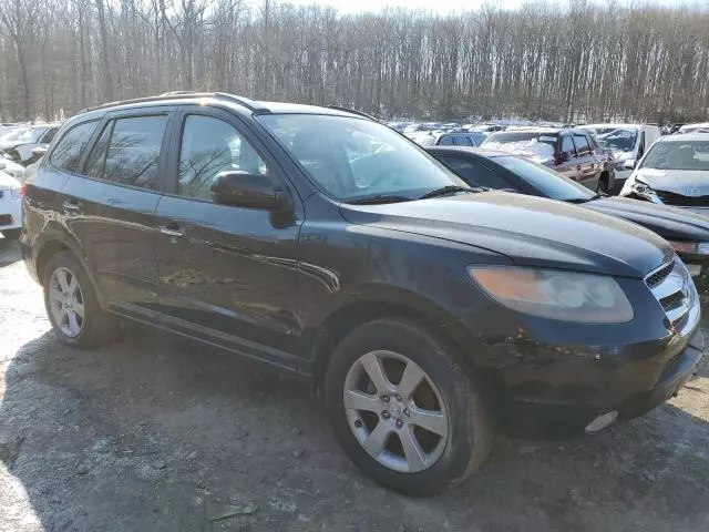 2007 Hyundai Santa FE SE