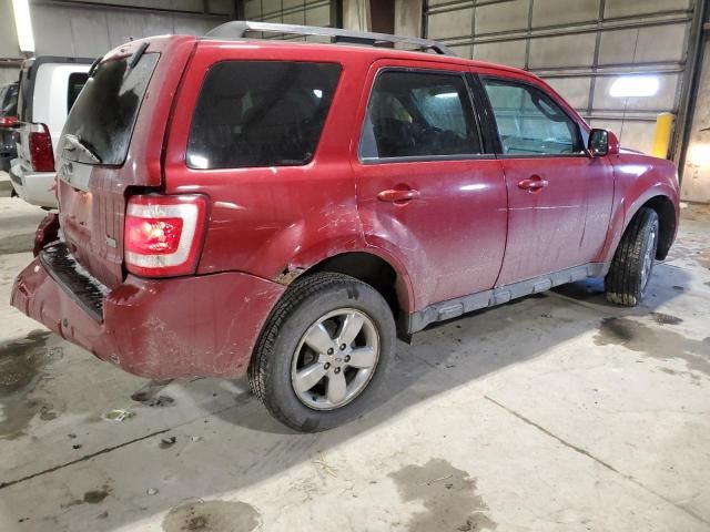 2011 Ford Escape Limited