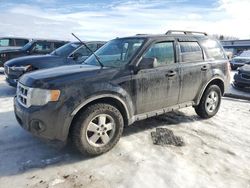 Run And Drives Cars for sale at auction: 2012 Ford Escape XLT