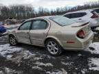 2001 Nissan Maxima GXE