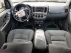 2004 Ford Escape XLT