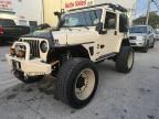 2000 Jeep Wrangler / TJ Sahara