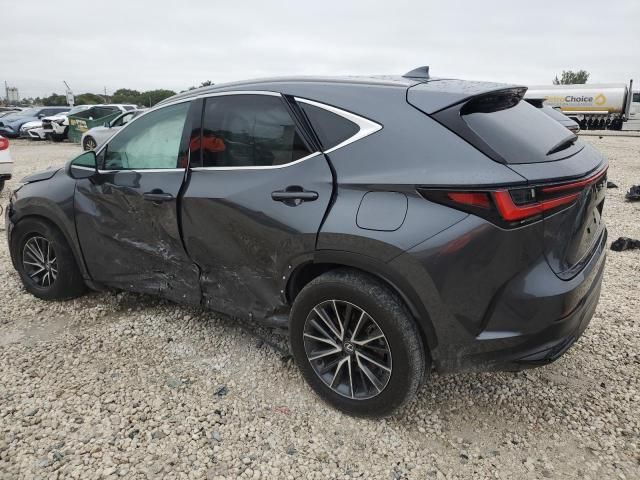 2024 Lexus NX 250 Base