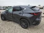 2024 Lexus NX 250 Base