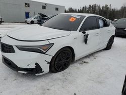 Salvage cars for sale from Copart Cookstown, ON: 2023 Acura Integra A-SPEC Tech