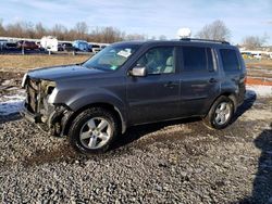 Salvage cars for sale from Copart Hillsborough, NJ: 2011 Honda Pilot EXL