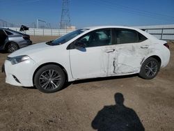 Salvage cars for sale at Adelanto, CA auction: 2016 Toyota Corolla L