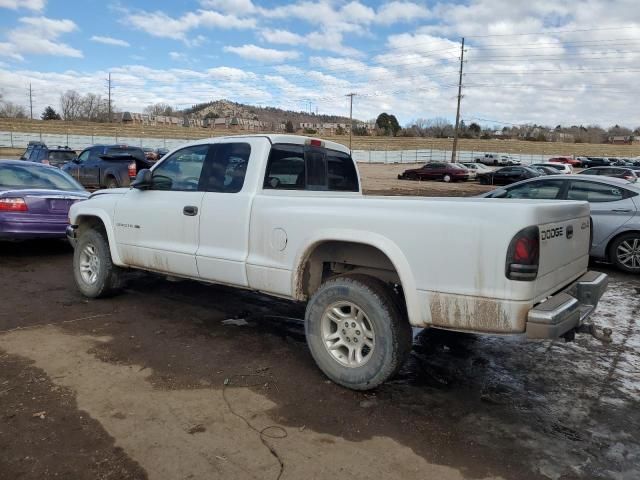 2002 Dodge Dakota SLT