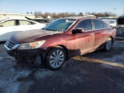 Honda Accord ex salvage cars for sale: 2014 Honda Accord EX