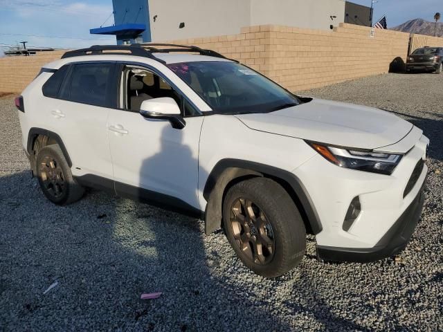 2023 Toyota Rav4 Woodland Edition