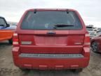 2009 Ford Escape XLS