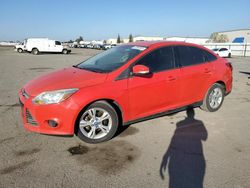 Ford salvage cars for sale: 2013 Ford Focus SE