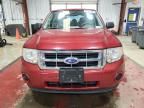 2012 Ford Escape XLS