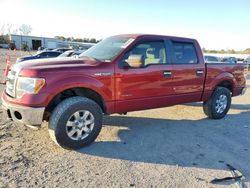 2013 Ford F150 Supercrew en venta en Harleyville, SC