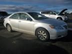 2009 Toyota Camry Hybrid