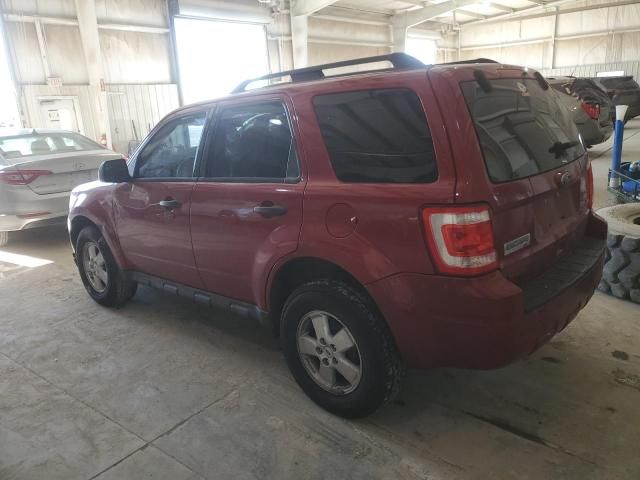 2010 Ford Escape XLT