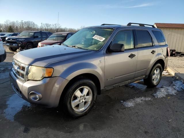 2008 Ford Escape XLT