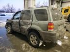 2006 Ford Escape XLT