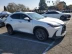 2024 Lexus NX 350H Base