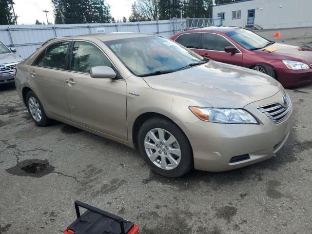 2007 Toyota Camry Hybrid