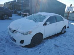 Toyota salvage cars for sale: 2013 Toyota Corolla Base