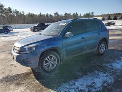 Salvage cars for sale at Windham, ME auction: 2017 Volkswagen Tiguan S