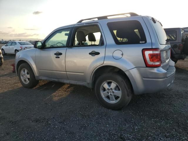 2010 Ford Escape XLT