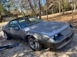 Salvage cars for sale at Grand Prairie, TX auction: 1985 Chevrolet Camaro Berlinetta