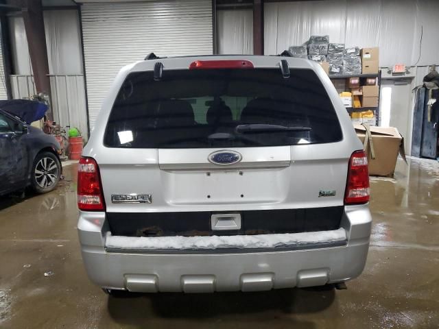 2011 Ford Escape XLT