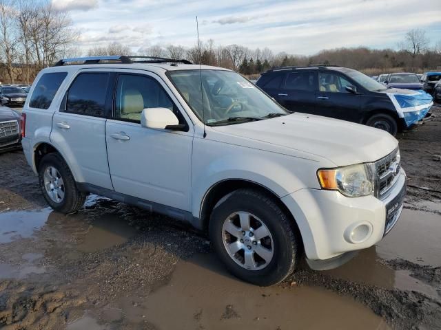 2012 Ford Escape Limited