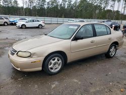 Salvage cars for sale at Harleyville, SC auction: 2002 Chevrolet Malibu