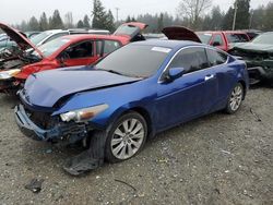 Buy Salvage Cars For Sale now at auction: 2009 Honda Accord EXL