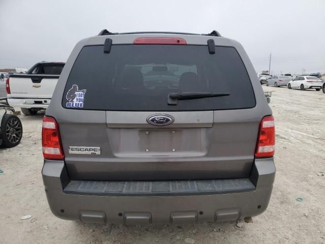 2009 Ford Escape XLT