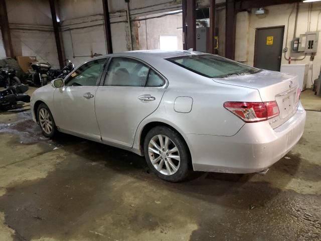 2010 Lexus ES 350