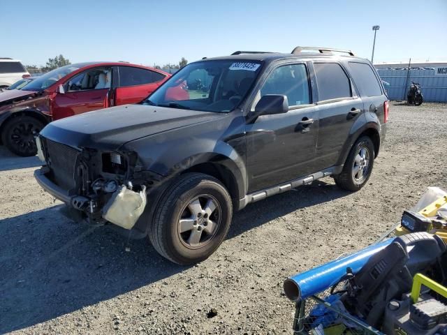 2009 Ford Escape XLT