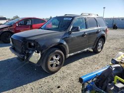 2009 Ford Escape XLT en venta en Antelope, CA