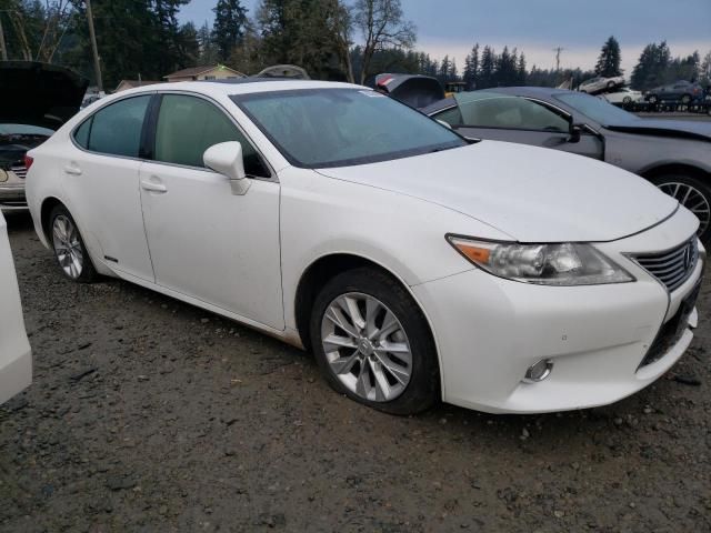 2014 Lexus ES 300H