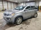 2011 KIA Sorento Base