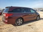 2019 Honda Odyssey EXL