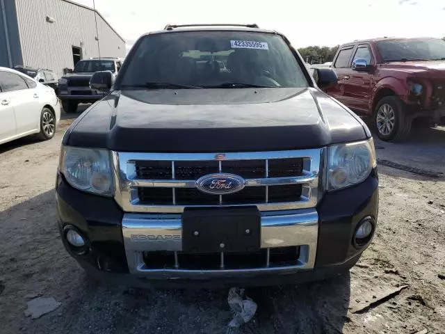 2011 Ford Escape Limited