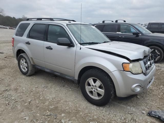 2011 Ford Escape XLT