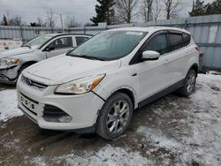 Salvage cars for sale from Copart Ontario Auction, ON: 2013 Ford Escape SEL