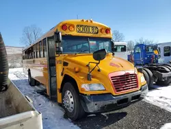 Salvage trucks for sale at Marlboro, NY auction: 2013 Blue Bird School Bus / Transit Bus