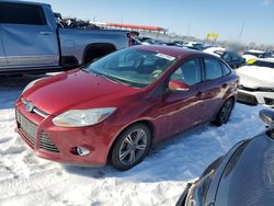 Salvage cars for sale at Cahokia Heights, IL auction: 2014 Ford Focus SE