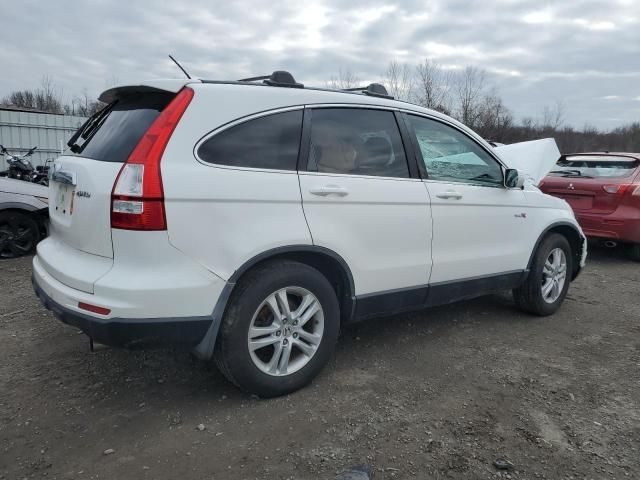 2010 Honda CR-V EXL